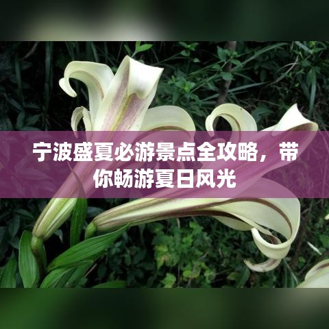 宁波盛夏必游景点全攻略，带你畅游夏日风光