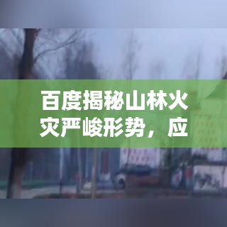 百度揭秘山林火灾严峻形势，应对策略及应对之道
