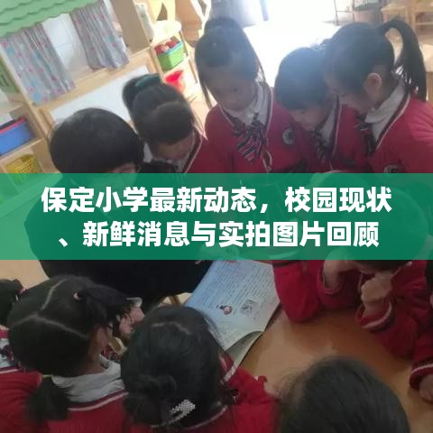 保定小学最新动态，校园现状、新鲜消息与实拍图片回顾