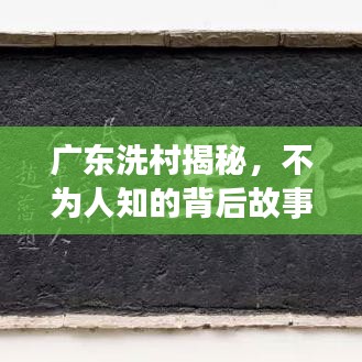 广东洗村揭秘，不为人知的背后故事，带你探索神秘村落！