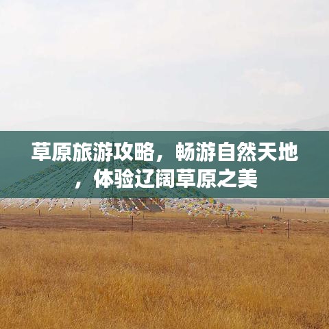 草原旅游攻略，畅游自然天地，体验辽阔草原之美