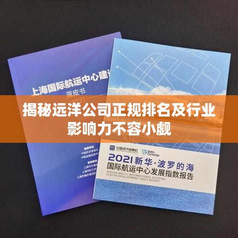 揭秘远洋公司正规排名及行业影响力不容小觑