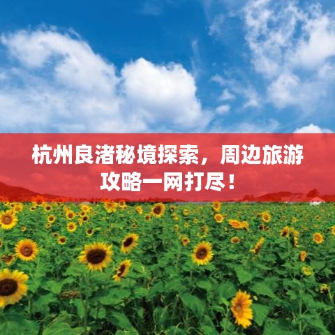 杭州良渚秘境探索，周边旅游攻略一网打尽！
