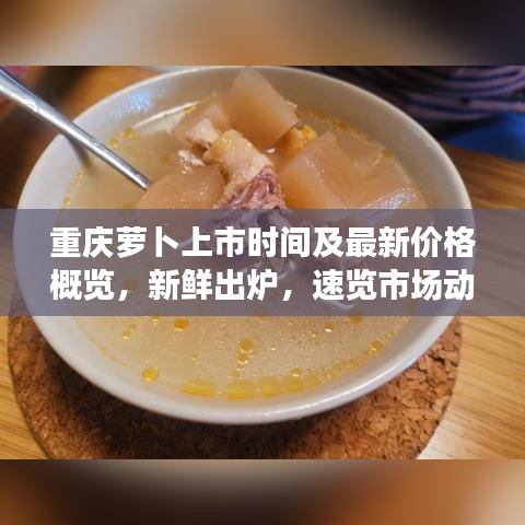 重庆萝卜上市时间及最新价格概览，新鲜出炉，速览市场动态！