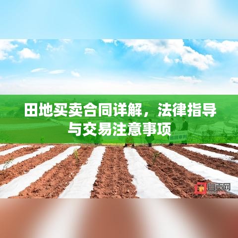 田地买卖合同详解，法律指导与交易注意事项