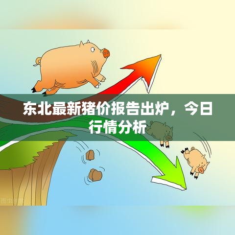 东北最新猪价报告出炉，今日行情分析