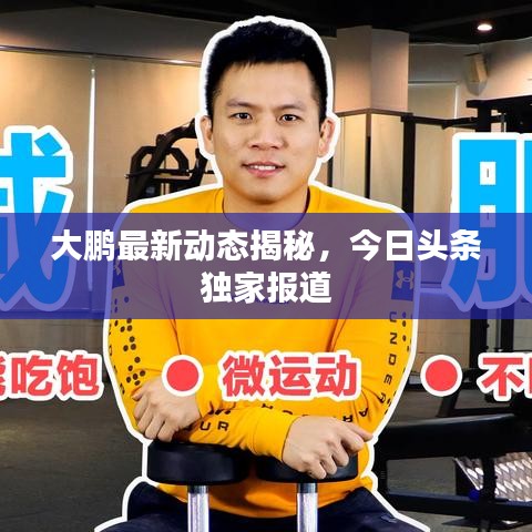 大鹏最新动态揭秘，今日头条独家报道