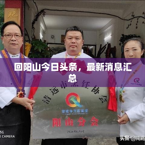 回阳山今日头条，最新消息汇总