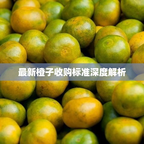 最新橙子收购标准深度解析