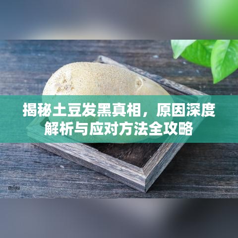 揭秘土豆发黑真相，原因深度解析与应对方法全攻略
