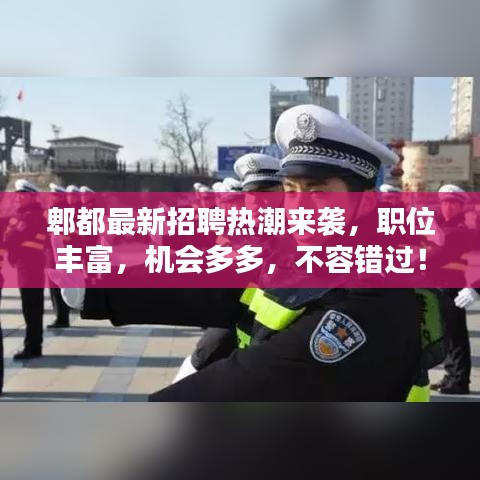 郫都最新招聘热潮来袭，职位丰富，机会多多，不容错过！