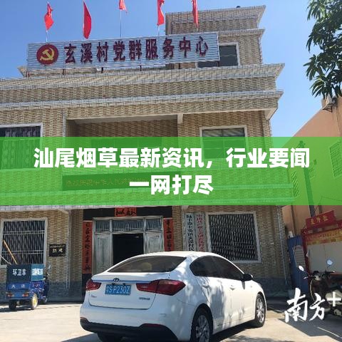 汕尾烟草最新资讯，行业要闻一网打尽