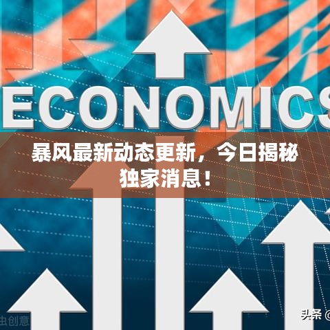 暴风最新动态更新，今日揭秘独家消息！