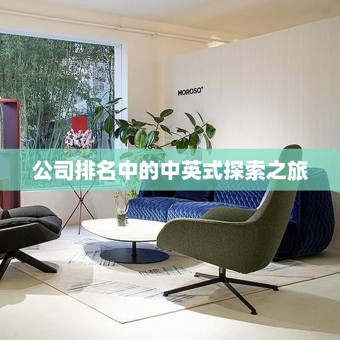 公司排名中的中英式探索之旅