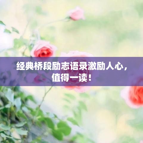 经典桥段励志语录激励人心，值得一读！