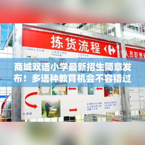 商城双语小学最新招生简章发布！多语种教育机会不容错过