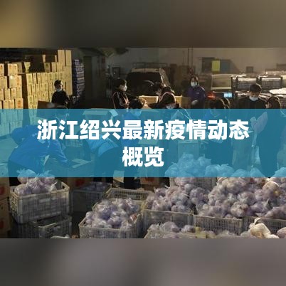 浙江绍兴最新疫情动态概览