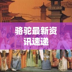 骆驼最新资讯速递