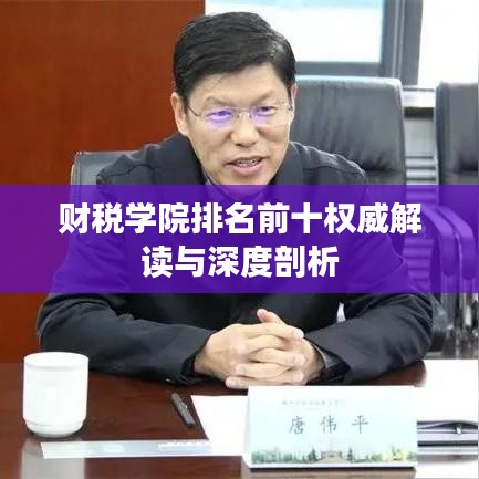 财税学院排名前十权威解读与深度剖析