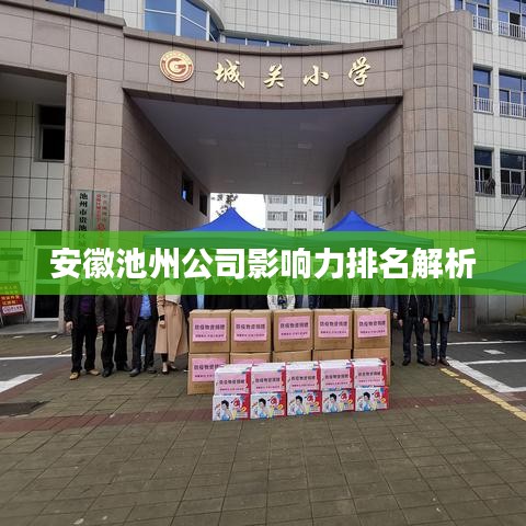 安徽池州公司影响力排名解析