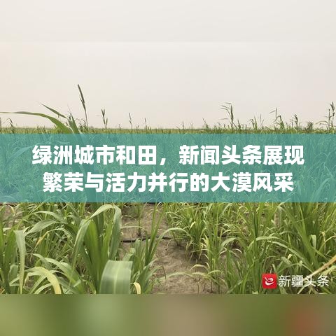 绿洲城市和田，新闻头条展现繁荣与活力并行的大漠风采