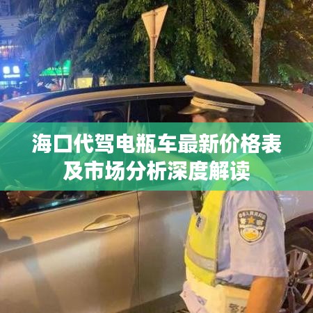 海口代驾电瓶车最新价格表及市场分析深度解读