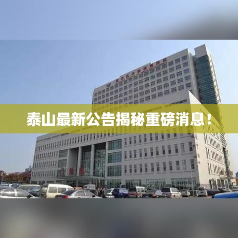 泰山最新公告揭秘重磅消息！