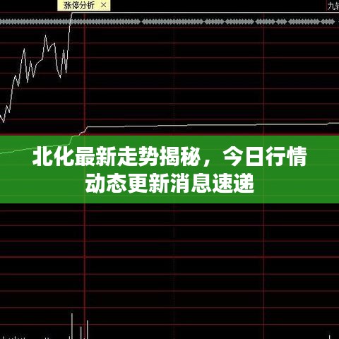 北化最新走势揭秘，今日行情动态更新消息速递