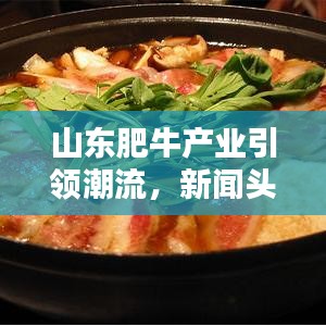 山东肥牛产业引领潮流，新闻头条瞩目关注