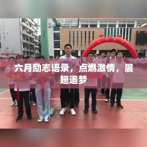 六月励志语录，点燃激情，展翅追梦