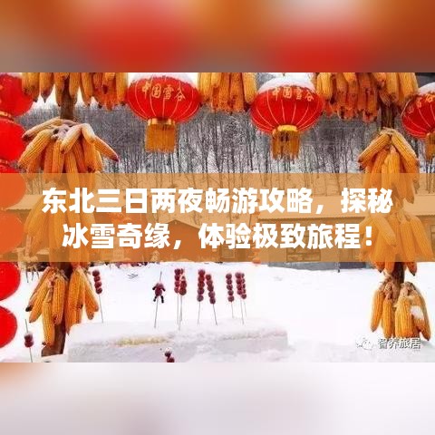 东北三日两夜畅游攻略，探秘冰雪奇缘，体验极致旅程！
