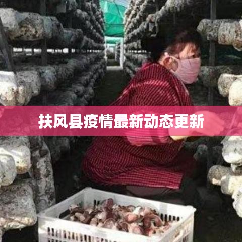 扶风县疫情最新动态更新