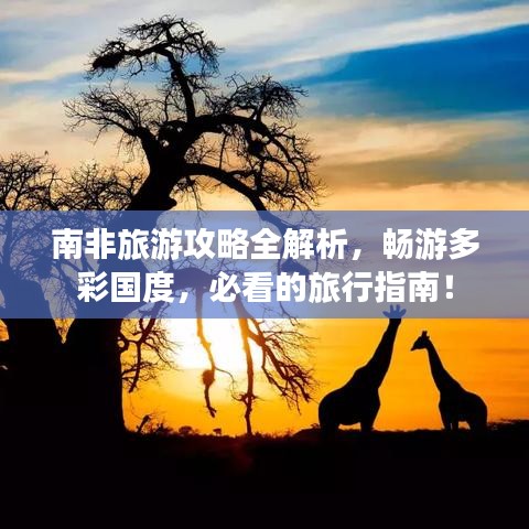 南非旅游攻略全解析，畅游多彩国度，必看的旅行指南！