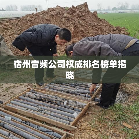 宿州音频公司权威排名榜单揭晓