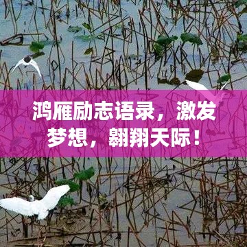 鸿雁励志语录，激发梦想，翱翔天际！