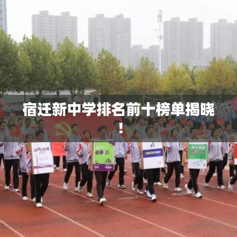 宿迁新中学排名前十榜单揭晓！