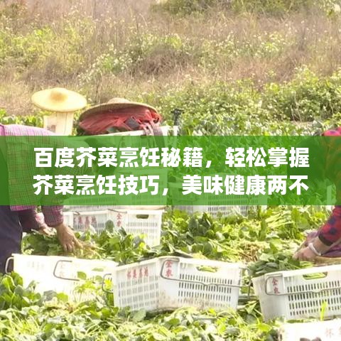 百度芥菜烹饪秘籍，轻松掌握芥菜烹饪技巧，美味健康两不误！
