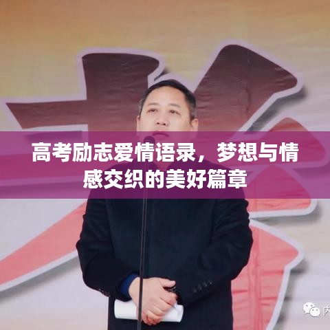 高考励志爱情语录，梦想与情感交织的美好篇章