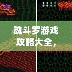 魂斗罗游戏攻略大全，最新完整攻略助你成为顶尖玩家！