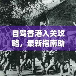 自驾香港入关攻略，最新指南助你畅游香港