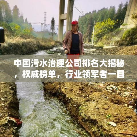 中国污水治理公司排名大揭秘，权威榜单，行业领军者一目了然！