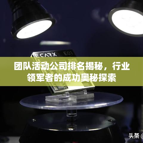 团队活动公司排名揭秘，行业领军者的成功奥秘探索