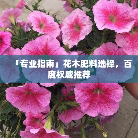 「专业指南」花木肥料选择，百度权威推荐