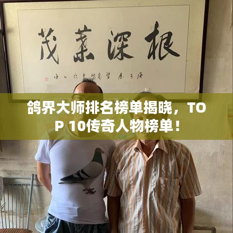 鸽界大师排名榜单揭晓，TOP 10传奇人物榜单！