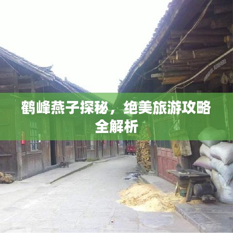 鹤峰燕子探秘，绝美旅游攻略全解析