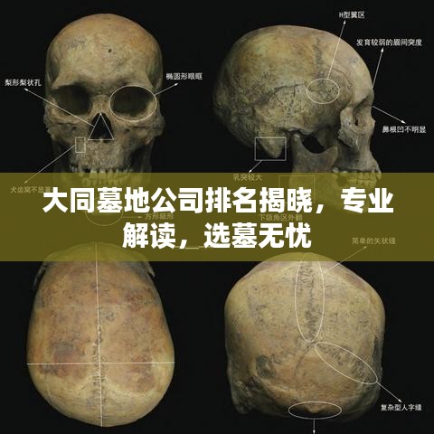 放浪形骸 第2页