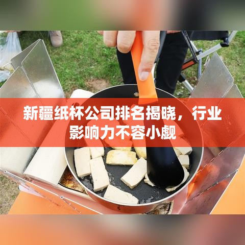 新疆纸杯公司排名揭晓，行业影响力不容小觑