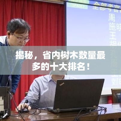 揭秘，省内树木数量最多的十大排名！