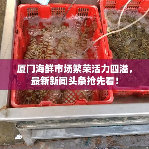 厦门海鲜市场繁荣活力四溢，最新新闻头条抢先看！