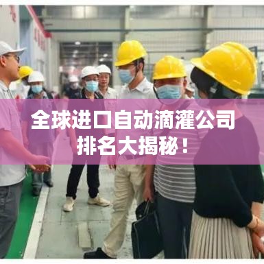 全球进口自动滴灌公司排名大揭秘！